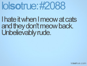hate it when I meow at cats and they don't meow back. Unbelievably ...