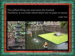 Taoism Quotes