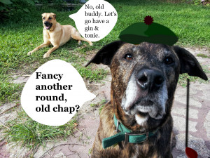 Add that to Emmett’s 10ish years, and we’ve got the beginnings of ...