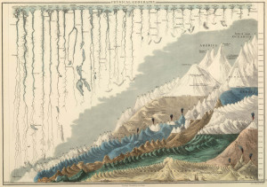 The longest rivers and the tallest mountains in one exquisite graphic