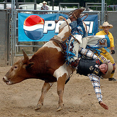 Good Bull Riding Quotes http://fearlessmen.com/guys-night-out-ideas/