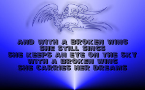 ... broken wing she still sings she keeps an eye on the sky with a broken