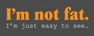 funny saying i am not fat just easy to see