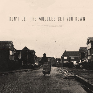 Don’t let the muggles get you down.