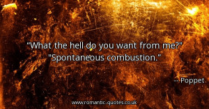 what-the-hell-do-you-want-from-me-spontaneous-combustion_600x315_55533 ...