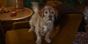 Anchorman Quotes Baxter Anchorman - baxter