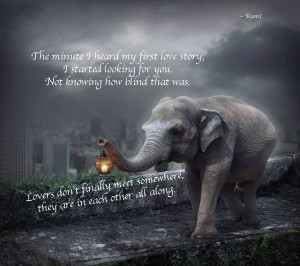 elephant walklight rumi quote