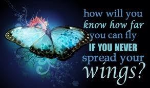 spread your wings and fly!