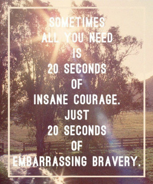 all you need is 20 seconds of insane courage. Just 20 seconds ...