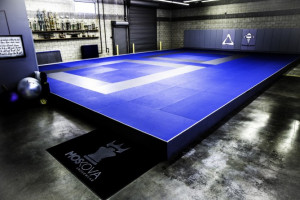 Kron Gracie Jiu-Jitsu Academy (Culver City, California, USA)