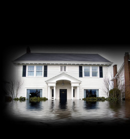 Home Insurance Condo Insurance Flood Insurance Townhome Insurance ...