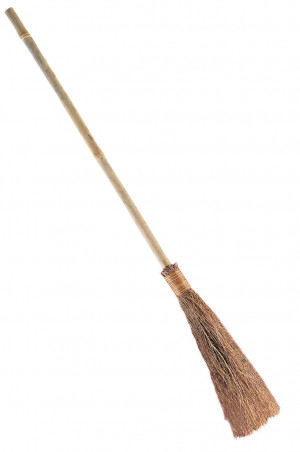 Witch Broom