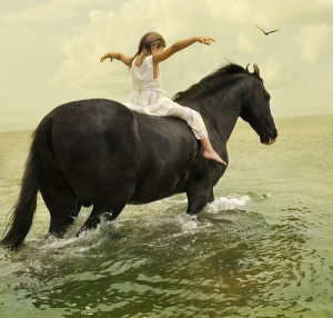 horse, horses, lovely, photography, sagittarius, water