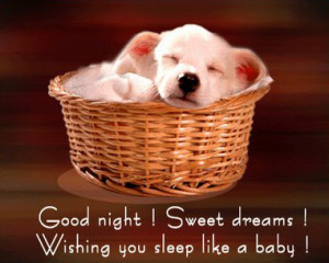 Good Night ! Sweet Dreams! Wishing You Sleep Like A Baby