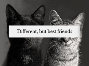 best friend quotes