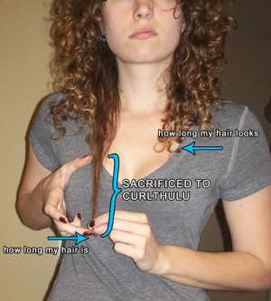 funny-picture-hair-curl-sarifices