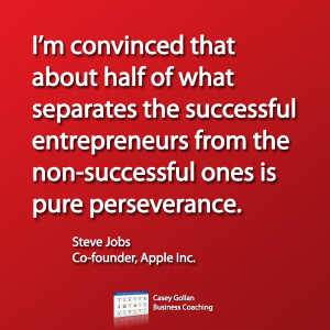... entrepreneurs from the non-successful ones is pure perseverance