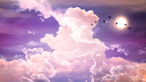 Wallpaper: Lavender 1920x1080
