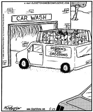 cth-dog-car-wash.jpg