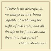 Maria Montessori: Let children experience nature and the world first ...