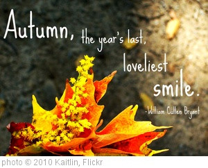 Autumn' photo (c) 2010, Kaitlin - license: http://creativecommons.org ...