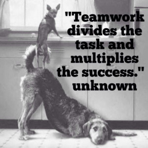 Teamwork Divides The Task And Multiplies Success