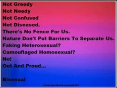 bisexual more lgbt pride lbgt pride bisexual pride i m bisexual fence ...