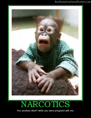 narcotics-monkey-ape-drug-funny-best-demotivational-posters