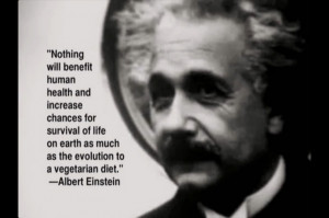 Albert Einstein Quote (Snapshot from Vegucated Documentary which is ...