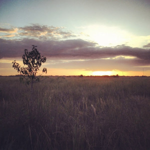 Found on iphonografs.blogspot.com