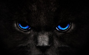 ... for my #closeup.” — Norma Desmond #quote =^@.@^= #cats #BlackCat
