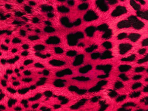 Print Wallpaper: Inspiring Pink Leopard Print Desktop Wallpaper ...