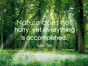 Nature does not hurry yet everything is accomplished