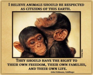 Ethical treatment of all animals