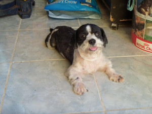 Seek first to understand, then to be understood.