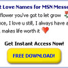 Love Msn Names Provides You...