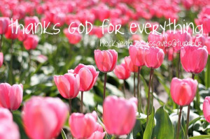 flowers, god, pink flowers, quotes