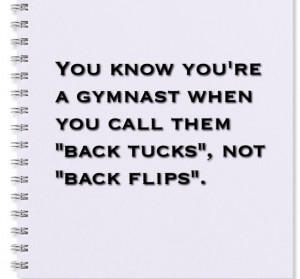 ... like do a back flip there are like a million different back flips