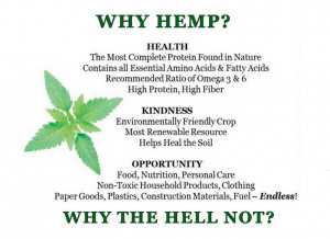 Benefits of Hemp health experts life coaching mental health experts ...