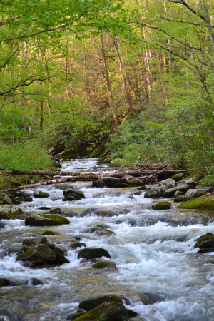 Mountain Stream in Gatlinburg: Usa Been, America Usa, Favorite Places ...