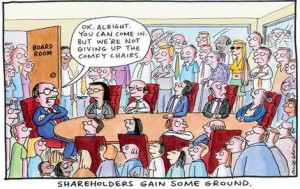 Shareholders the power behind the throne