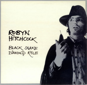 robyn hitchcock quotes