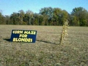 Corn Maze...sorry blondes, I've got a lot more jokes coming!