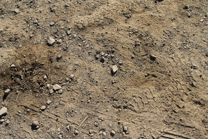 Dirt Track Texture