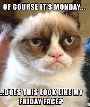 17 Funny Quotes and Jokes about Monday