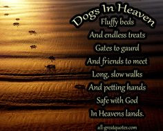 Dogs in heaven quotes | Dogs-in-heaven-fluffy-beds-and-endless-treats ...
