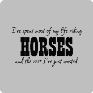 Experience Horseback Riding