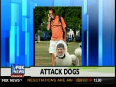 Fox News Channel image of Steinberg superimposed on a poodle, and ...