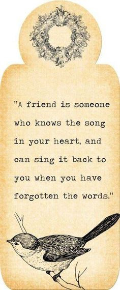 ... Friends, True Friends, Songs, Friendship Quotes, Birds, Friends Quotes