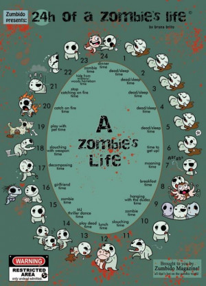 zombie life cycle - Zombie Life Cycle